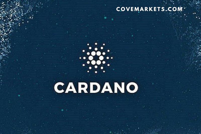 Analysing Cardano Network The Good And Bad