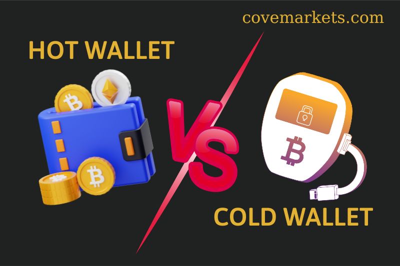 Hot Wallet Vs Cold Wallet Which One You Should Choose For Your Crypto 2023