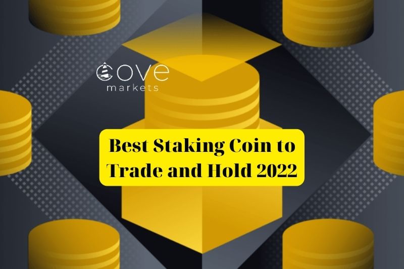 Best Staking Coin to Trade and Hold 2022