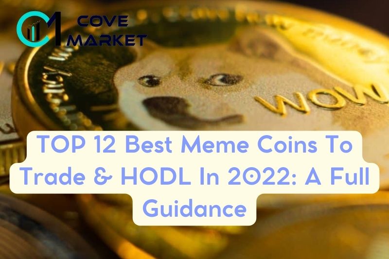 TOP 12 Best Meme Coins To Trade & HODL In 2022 A Full Guidance