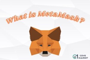 What Is MetaMask Wallet & How To Use