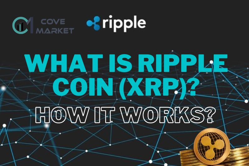 What Is Ripple Coin (XRP) & How It Works Full Review Of 2022