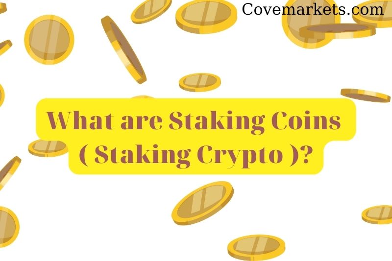 What are Staking Coins