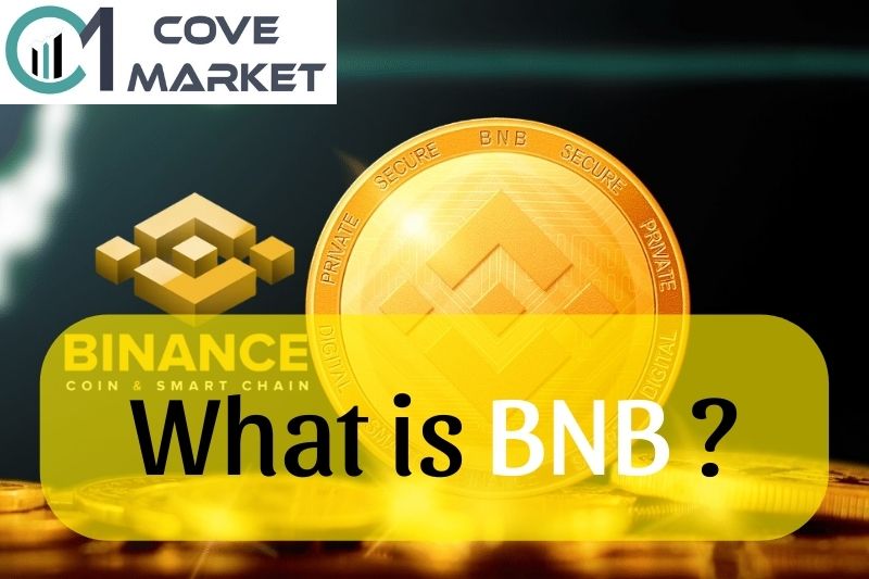 What is BNB