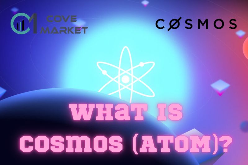 What is Cosmos (ATOM)