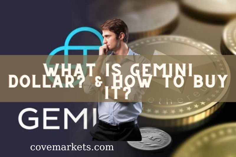 What is Gemini Dollar & HOw To buy it