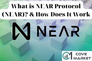What is NEAR Protocol (NEAR) & How Does It Work