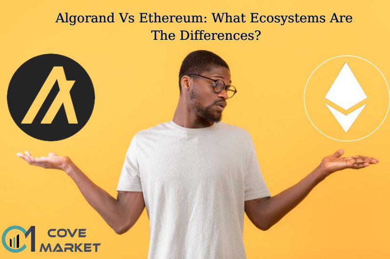 Algorand Vs Ethereum What Ecosystems Are The Differences
