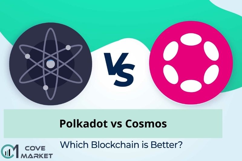DOT vs ATOM Which Is a Better Investment