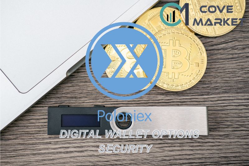 Digital wallet options and security