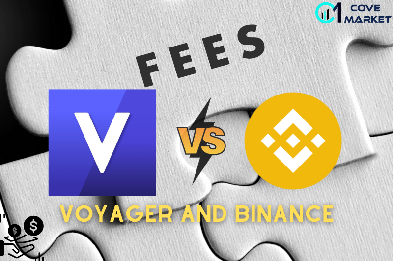 Fees of Voyager Vs Binance Wallet - Covemarkets.com