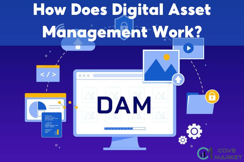 How Does Digital Asset Management Work?