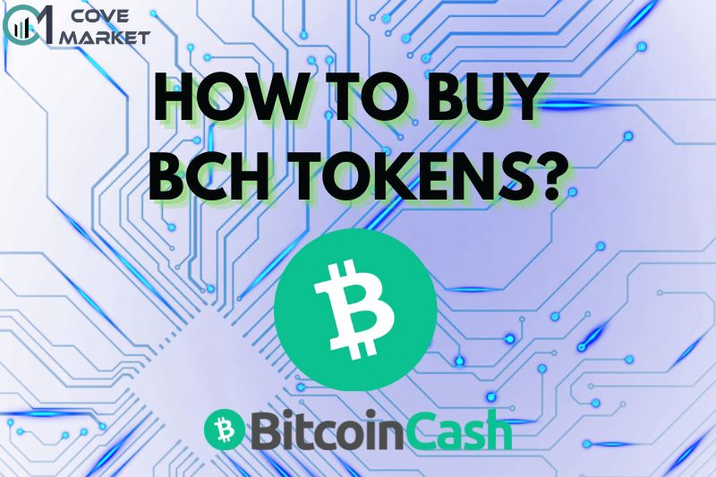 How to Buy BCH Tokens