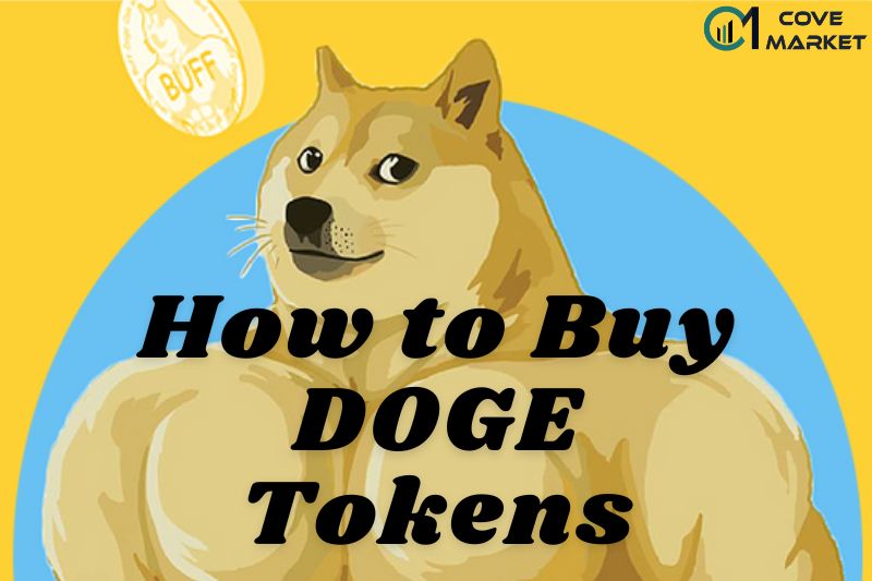 How to Buy DOGE Tokens