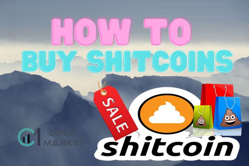 How to Buy Shitcoins Crypto Coins?
