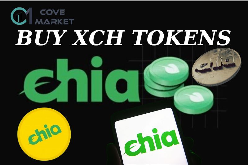 How to Buy XCH Tokens