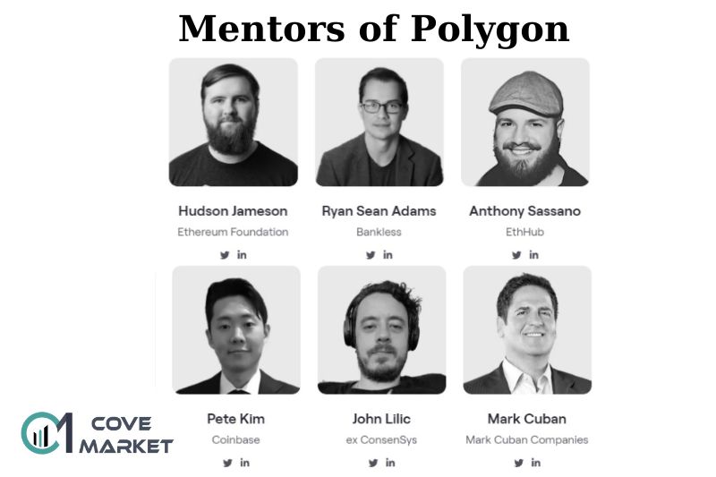 Mentors of Polygon