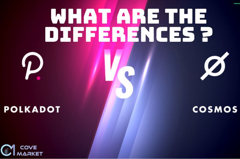 Polkadot Vs Cosmos What Are The Differences Between 2 Ecosystems