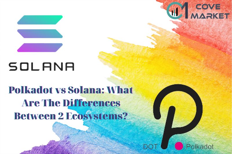 Polkadot vs Solana What Are The Differences Between 2 Ecosystems