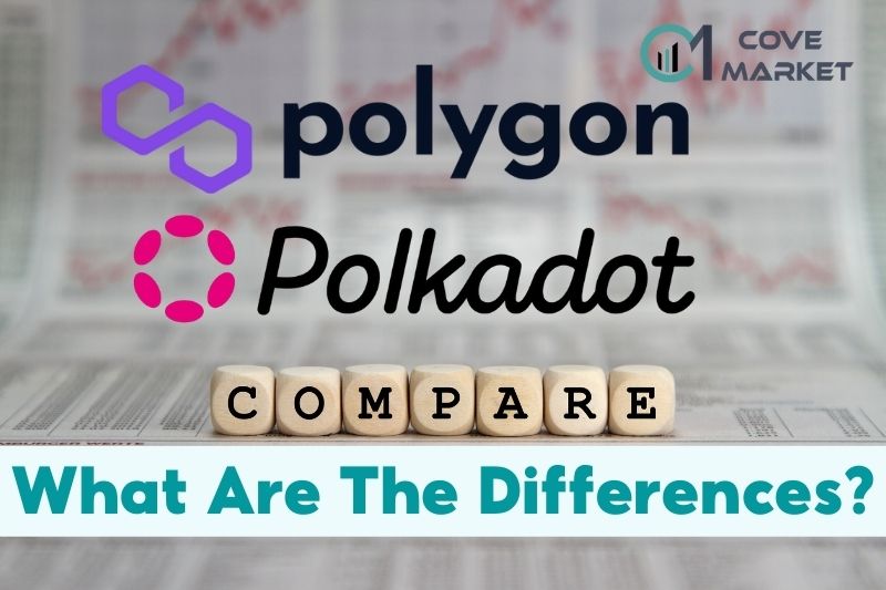 Polygon Vs Polkadot What Are The Differences Between 2 Ecosystems