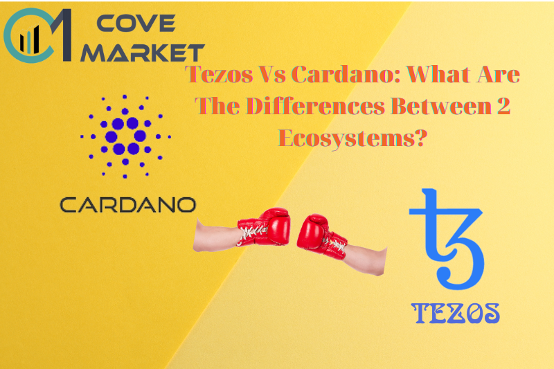 Tezos Vs Cardano What Are The Differences Between 2 Ecosystems
