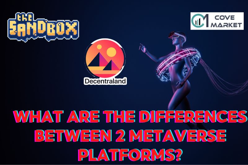 What Are The Differences Between 2 Metaverse Platforms 