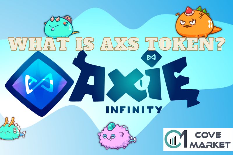 What Is AXS Token