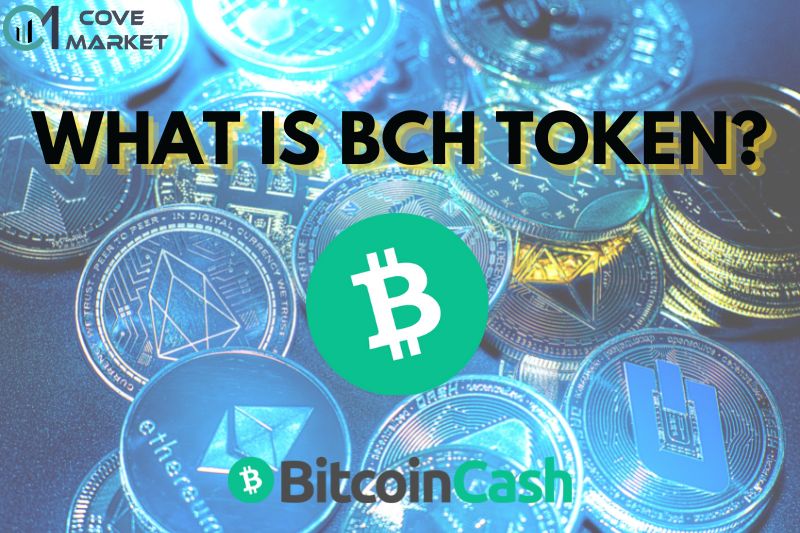 What Is BCH Token