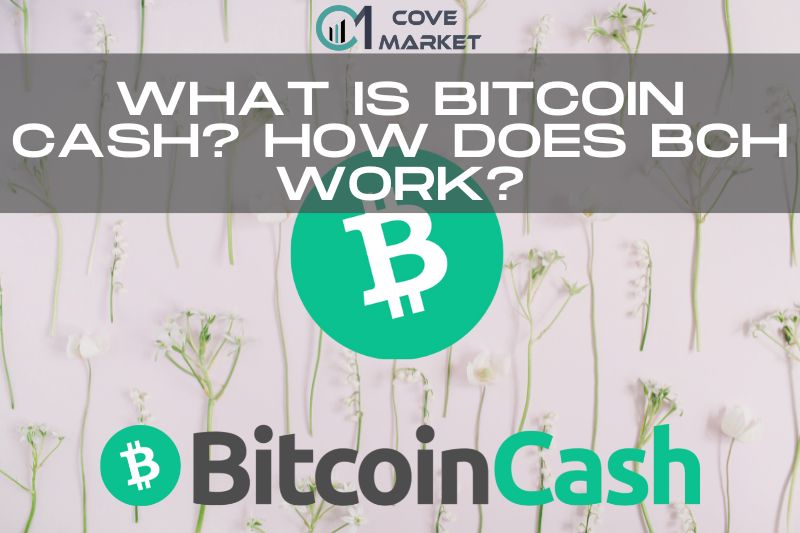What Is Bitcoin Cash How Does BCH Work