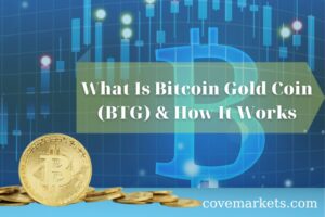 What Is Bitcoin Gold Coin (BTG) & How It Works