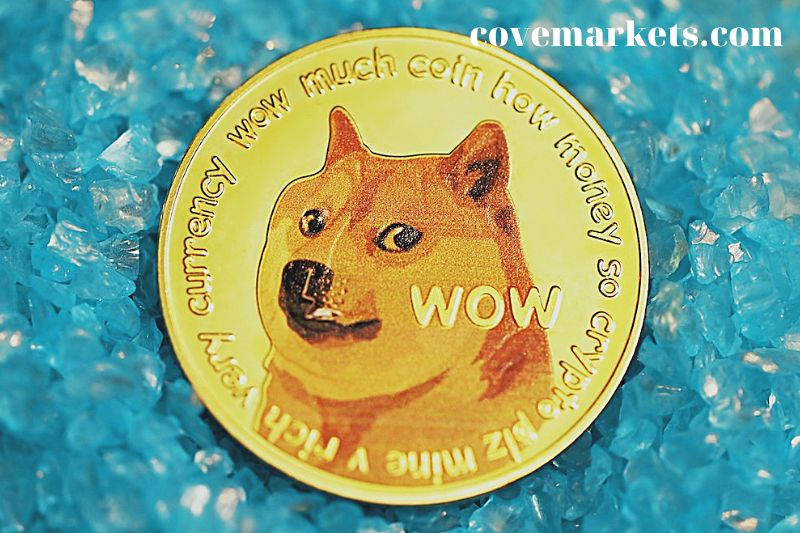 What Is DOGE Token