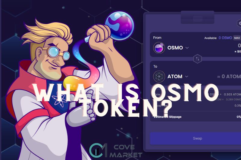What Is OSMO Token?