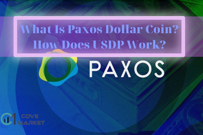 What Is Paxos Dollar Coin How Does USDP Work