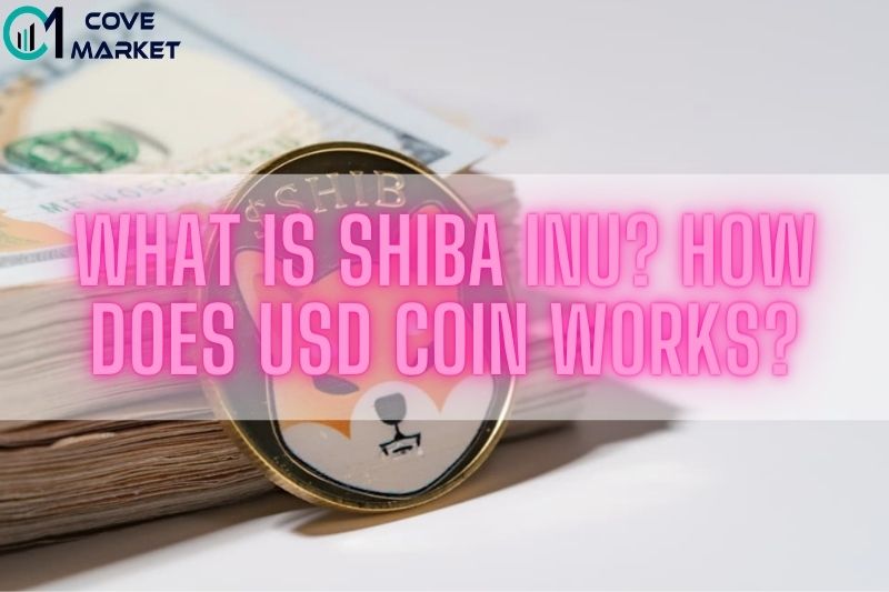 What Is Shiba Inu How Does USD Coin Works