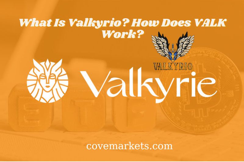What Is Valkyrio How Does VALK Work