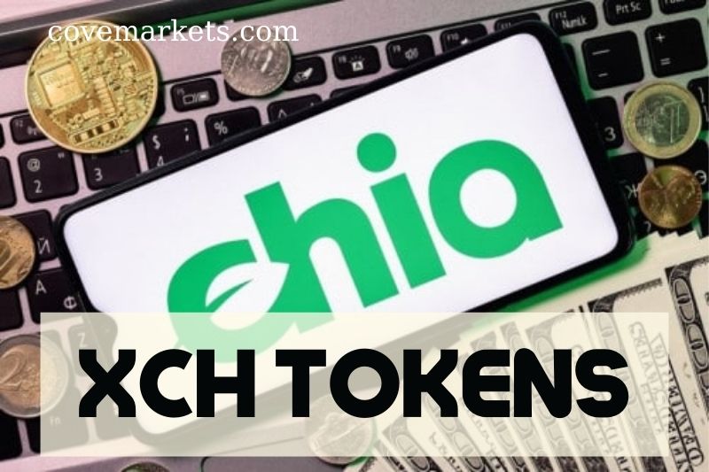 What Is XCH Token