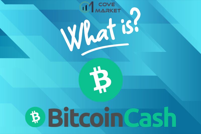 What is Bitcoin Cash (BCH)