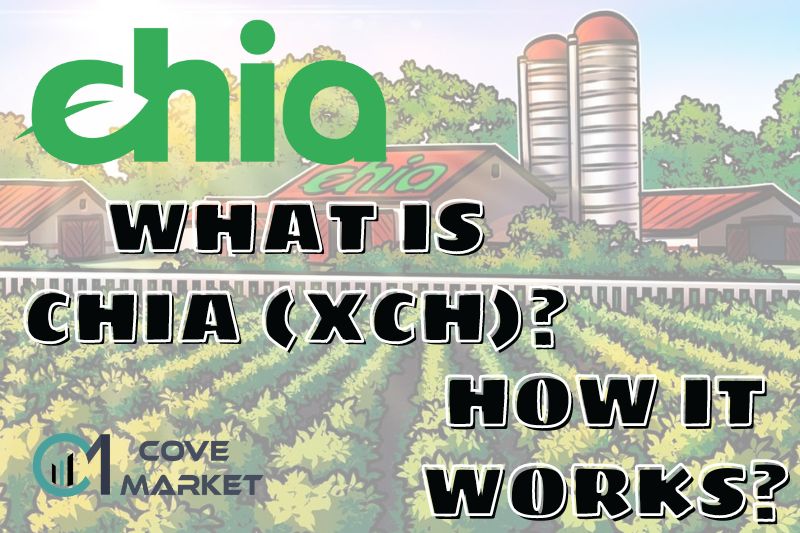 What is Chia & How does xch work