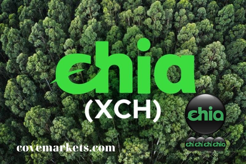 What is Chia network (XCH)