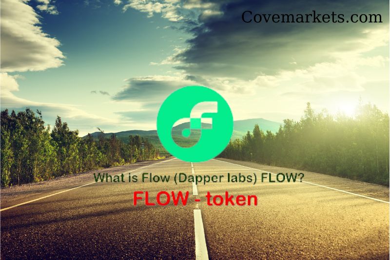 What is Flow Coin