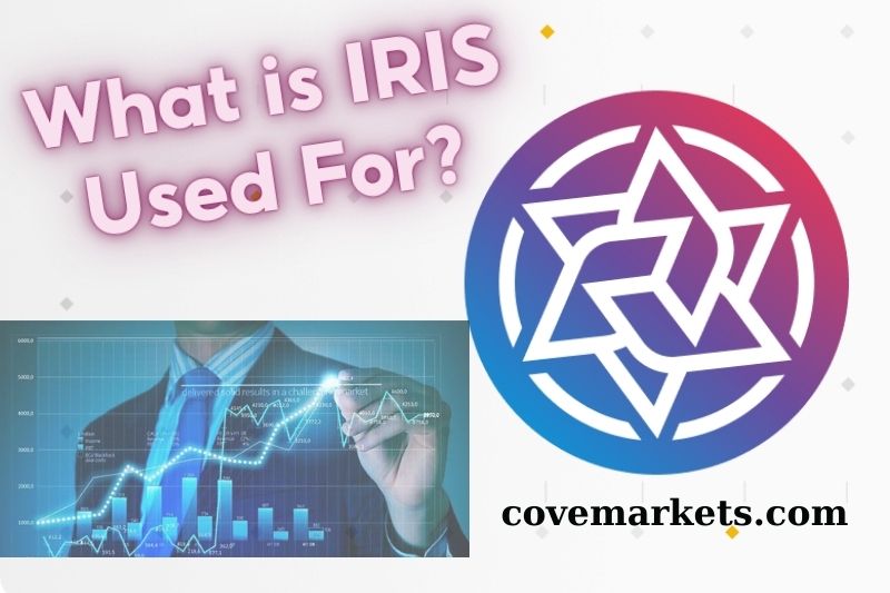 What is IRIS Used For