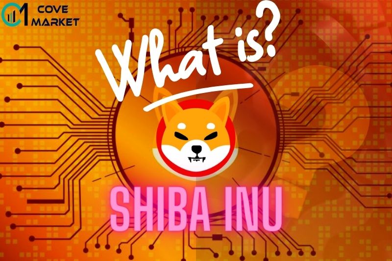 What is Shiba Inu (SHIB)