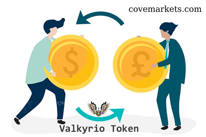 What is VALK Token