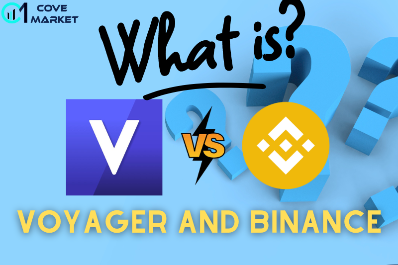 What is Voyager Vs Binance Wallet - Covemarkets.com