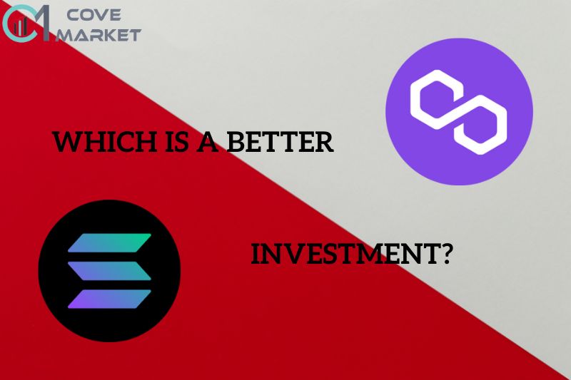 Which Is a Better Investment?