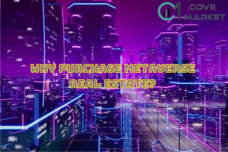 Why Purchase Metaverse Real Estate
