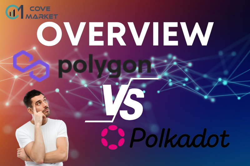 overview Polkadot and Polygon