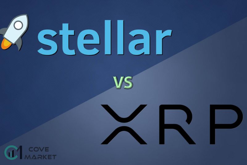 Stellar Vs Ripple What Are The Differences Between 2 Ecosystems
