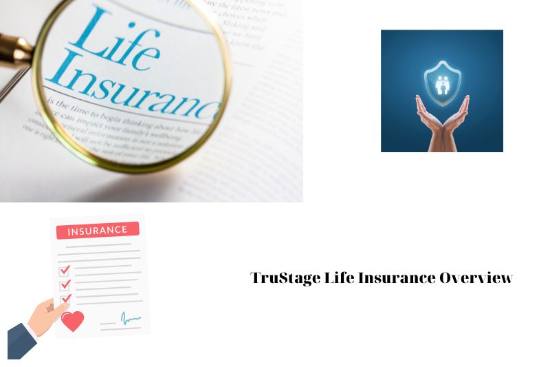 TruStage Life Insurance Overview