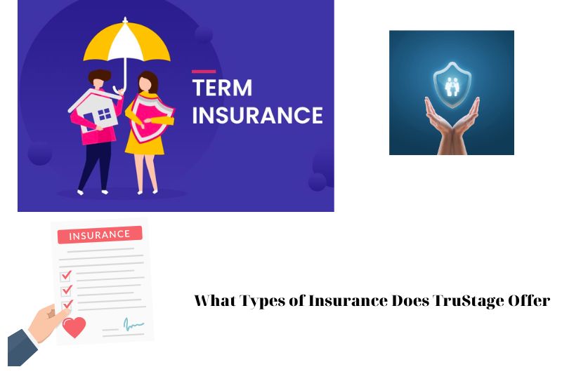What Types of Insurance Does TruStage Offer
